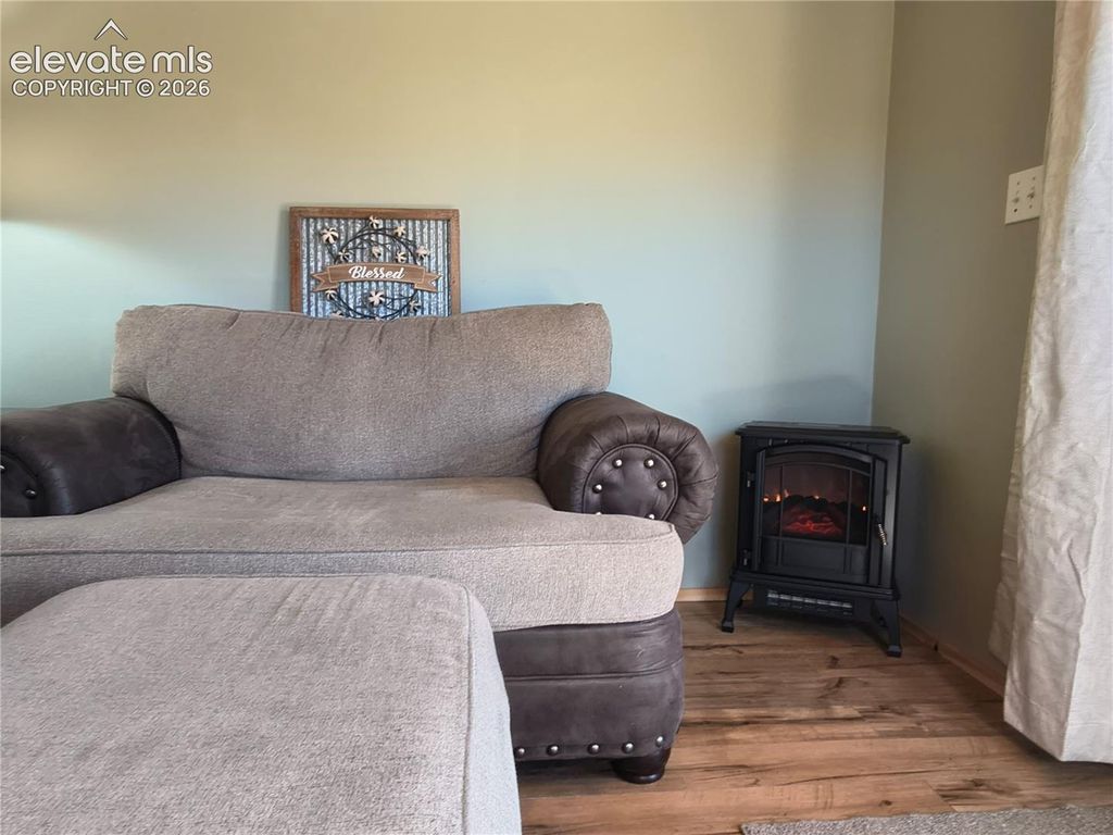314 Arrowhead Drive, Florissant, CO 80816 — photo 3