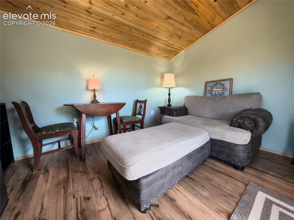314 Arrowhead Drive, Florissant, CO 80816 — photo 4