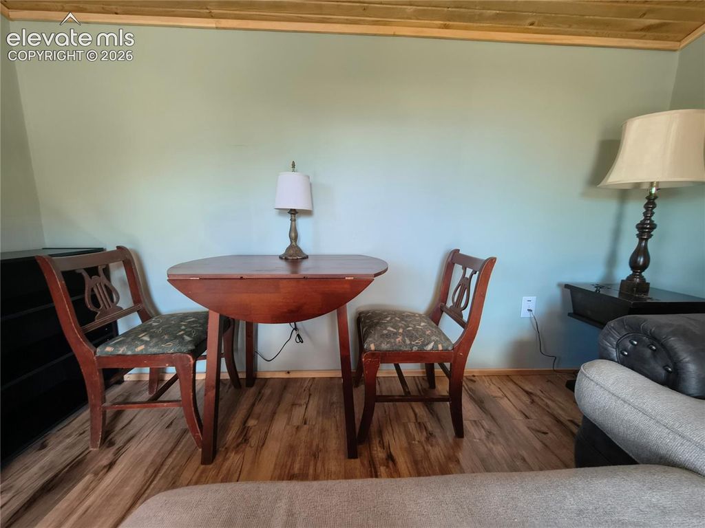 314 Arrowhead Drive, Florissant, CO 80816 — photo 5