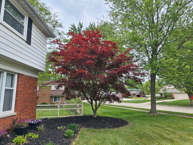 19620 Silver-Spring Street, Southfield City, MI 48076