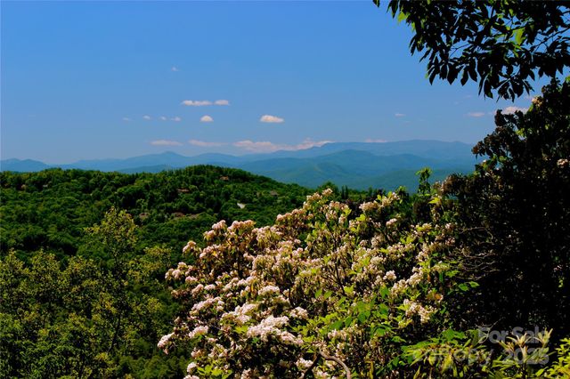 00 Marble Heights Trail e11, Hendersonville, NC 28791