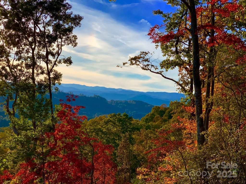 00 Marble Heights Trail e11, Hendersonville, NC 28791