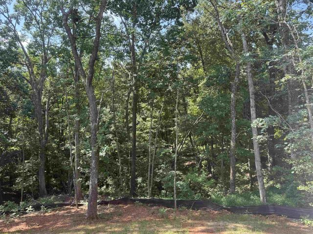 436 Dublin Lane, Columbus, NC 28722