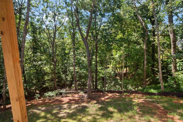 436 Dublin Lane, Columbus, NC 28722
