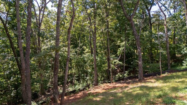 436 Dublin Lane, Columbus, NC 28722