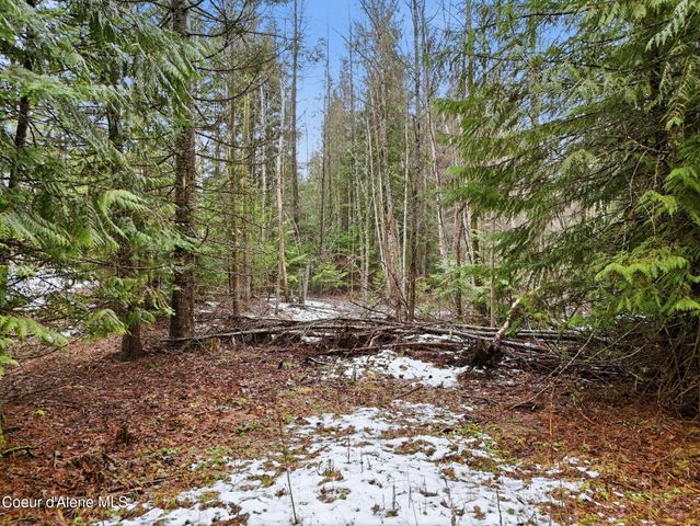 12053 Dufort Rd, Priest River, ID 83856