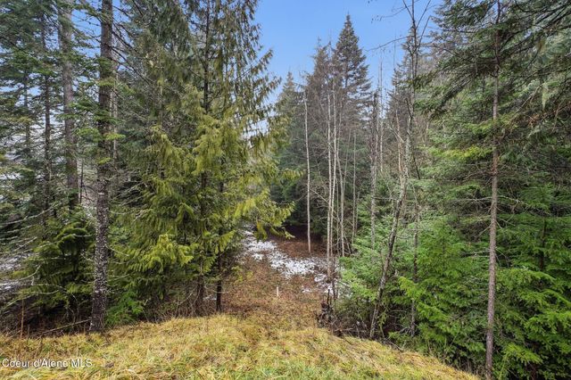 12053 Dufort Rd, Priest River, ID 83856