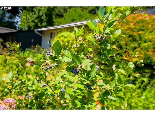 9897 Sw SIUSLAW Ln, Tualatin, OR 97062