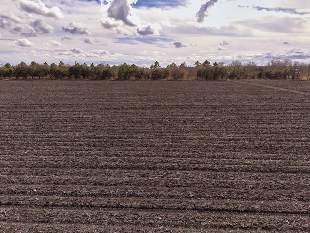 TBD Fm 1952, Wallis, TX 77485