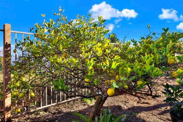 2022 Highland View, Escondido, CA 92026