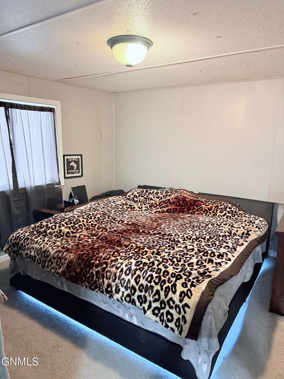 124 Delaware Street SE, Bismarck, ND 58504 photo 21