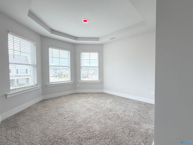 101 Brighton Lake Court, New Market, AL 35761