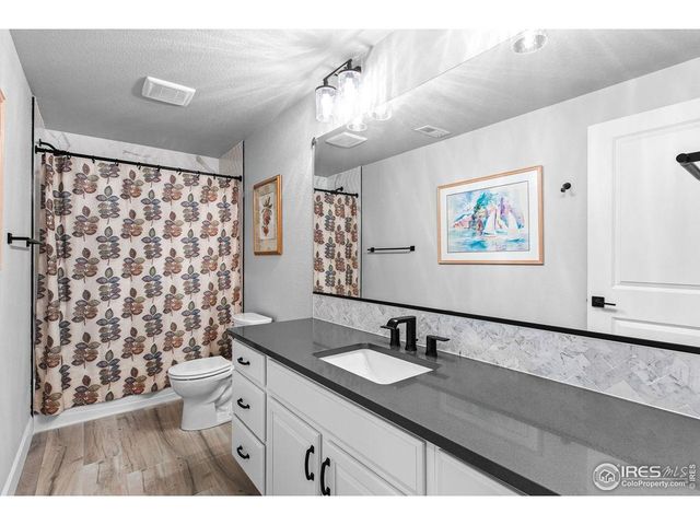 366 Bluestar Dr, Windsor, CO 80550