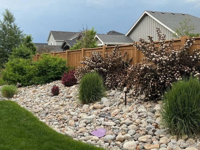 366 Bluestar Dr, Windsor, CO 80550