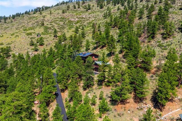 3890 S Skyline Drive, Evergreen, CO 80439