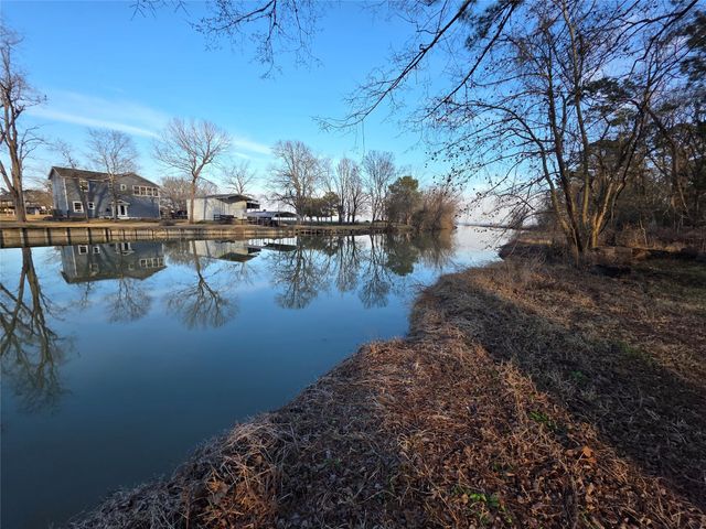 51 Moss Hill Lane, Point Blank, TX 77364