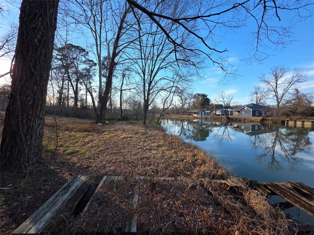 51 Moss Hill Lane, Point Blank, TX 77364