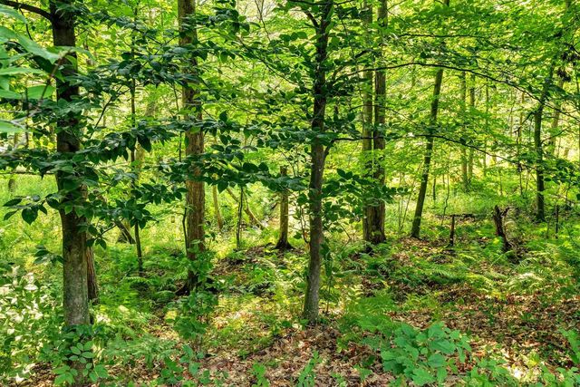 3240 CRYSTAL CREEK COURT, Suamico, WI 54313