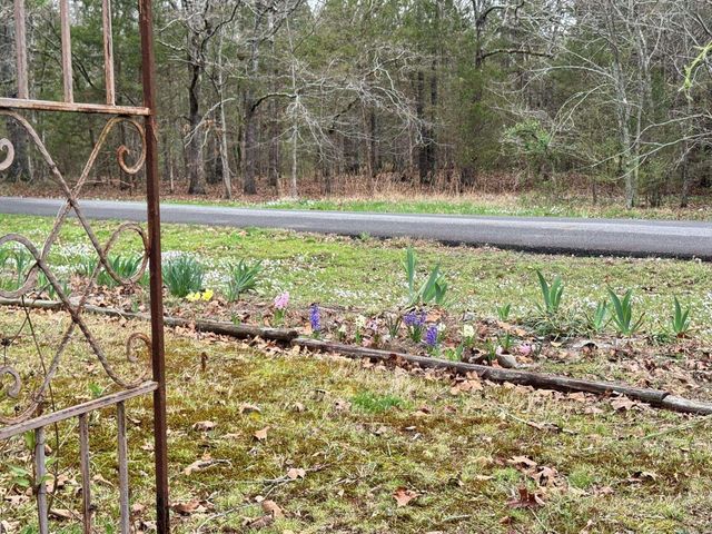 49 Valley Road, Conway, AR 72032