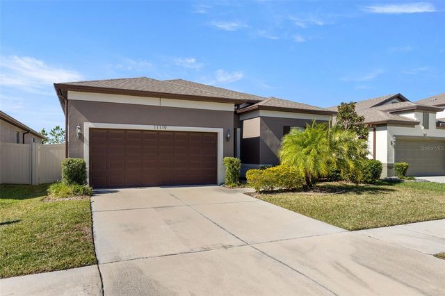 11119 GREEN HARVEST DRIVE, Riverview, FL 33578