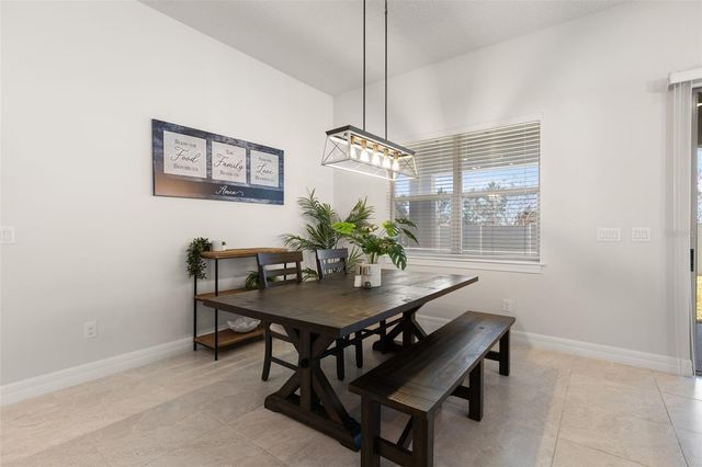 11119 GREEN HARVEST DRIVE, Riverview, FL 33578