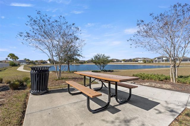 11119 GREEN HARVEST DRIVE, Riverview, FL 33578