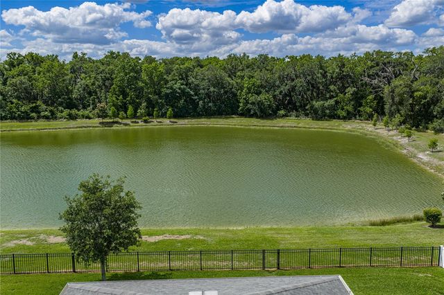 1450 CYPRESS VIEW LANE, Lakeland, FL 33811