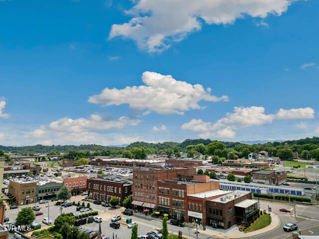 116 Tipton Street Apt 406, Johnson City, TN 37604