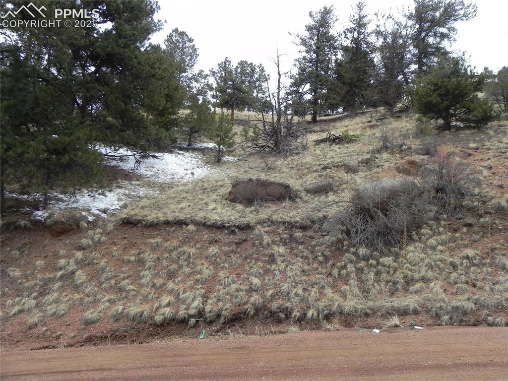 153 Idlewild Drive, Cripple Creek, CO 80813 — exterior