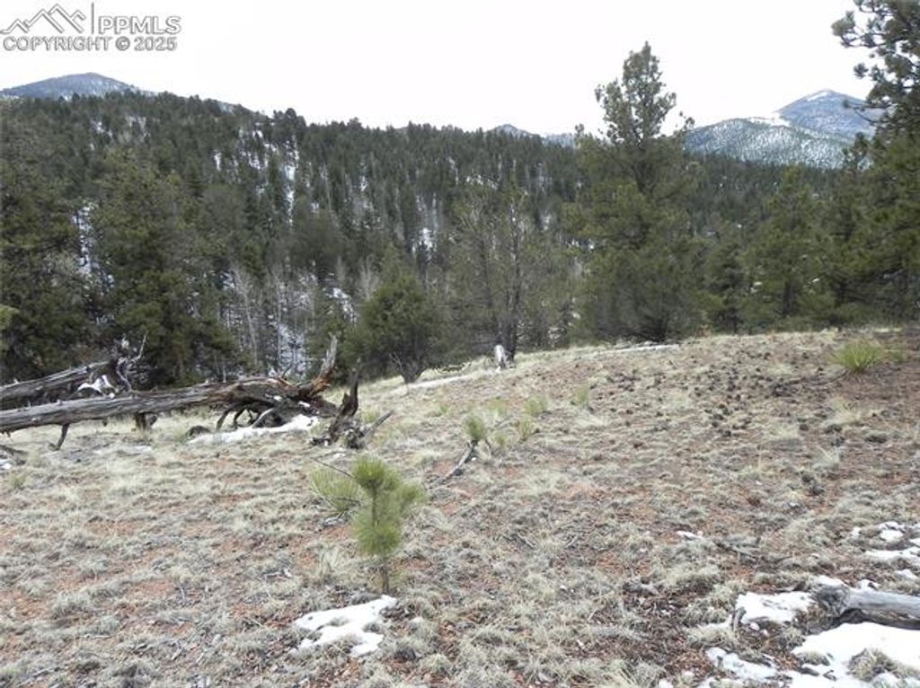153 Idlewild Drive, Cripple Creek, CO 80813 — photo 2
