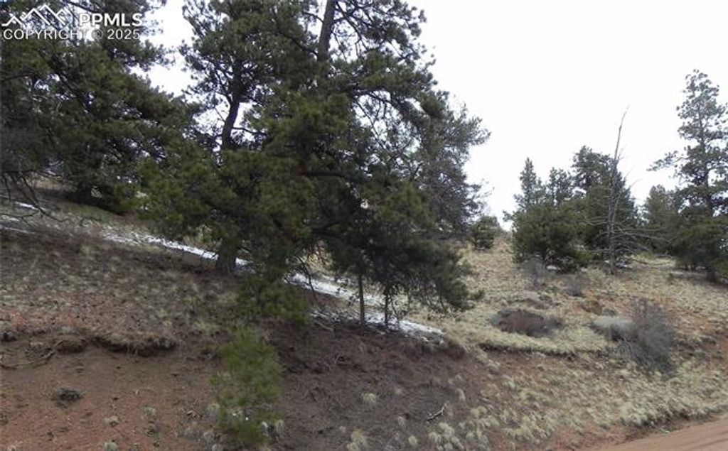 153 Idlewild Drive, Cripple Creek, CO 80813 — photo 3