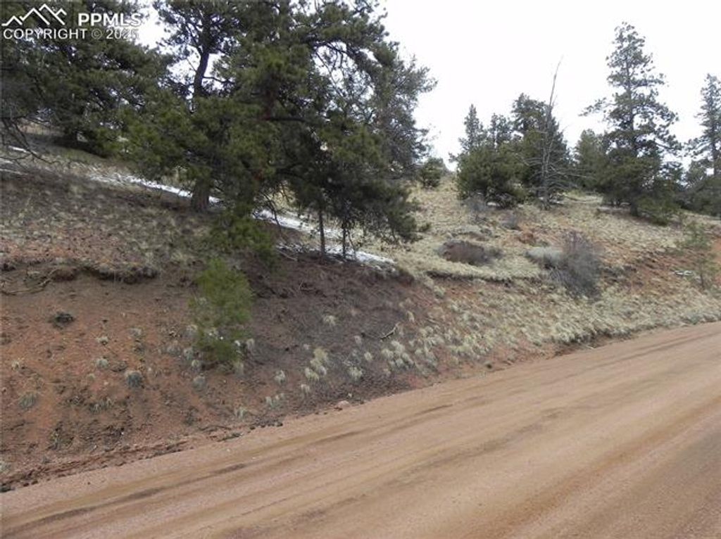 153 Idlewild Drive, Cripple Creek, CO 80813 — photo 4