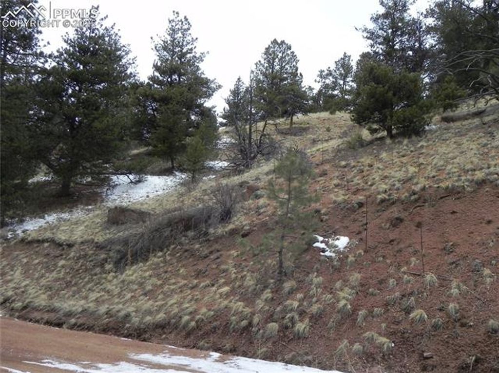 153 Idlewild Drive, Cripple Creek, CO 80813 — photo 5