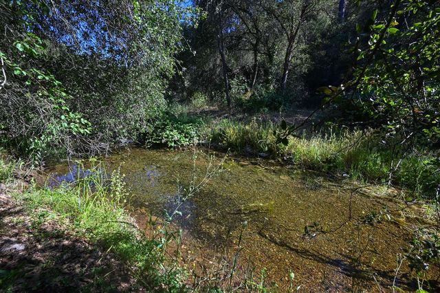 5288 Rattlesnake Bar Rd, Pilot Hill, CA 95664