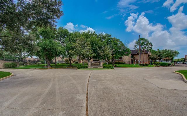 10555 Turtlewood Court 2802, Houston, TX 77072