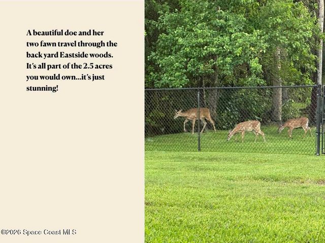 3420 Fox Wood Drive, Titusville, FL 32780