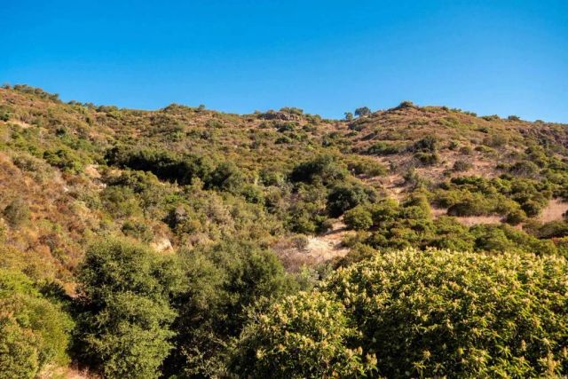 27 El Calamar, Temecula, CA 92590