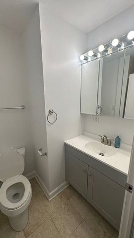 843 E 52nd Street 1, Chicago, IL 60615