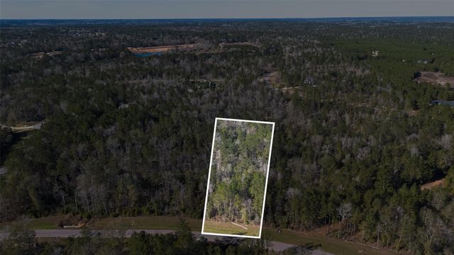 11623 Dawn Tree Lane, Willis, TX 77378