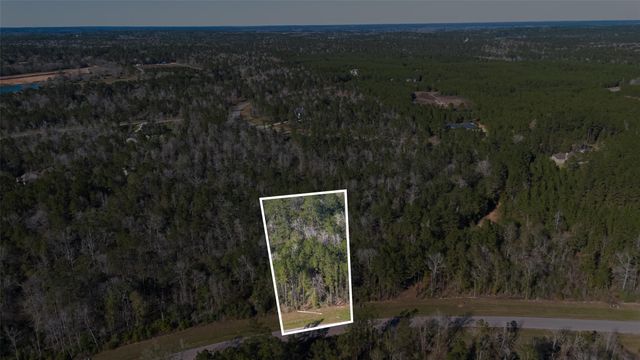 11623 Dawn Tree Lane, Willis, TX 77378