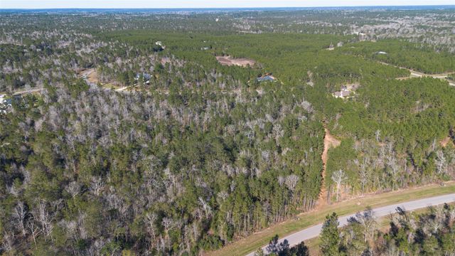 11623 Dawn Tree Lane, Willis, TX 77378