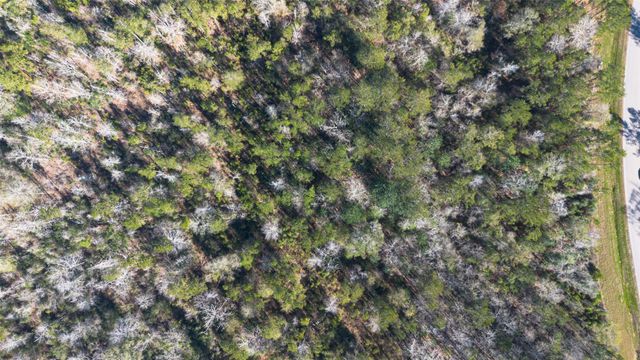 11623 Dawn Tree Lane, Willis, TX 77378