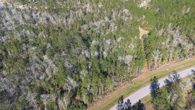 11623 Dawn Tree Lane, Willis, TX 77378