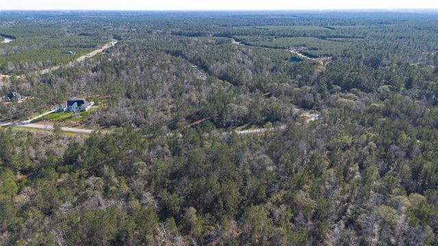 11623 Dawn Tree Lane, Willis, TX 77378