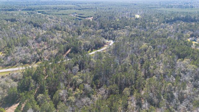 11623 Dawn Tree Lane, Willis, TX 77378