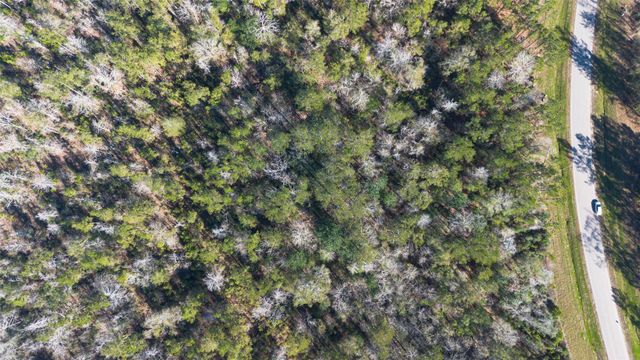 11623 Dawn Tree Lane, Willis, TX 77378