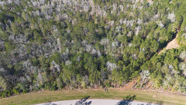 11623 Dawn Tree Lane, Willis, TX 77378