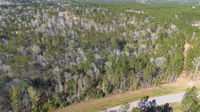 11623 Dawn Tree Lane, Willis, TX 77378