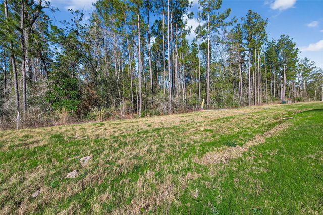 11623 Dawn Tree Lane, Willis, TX 77378