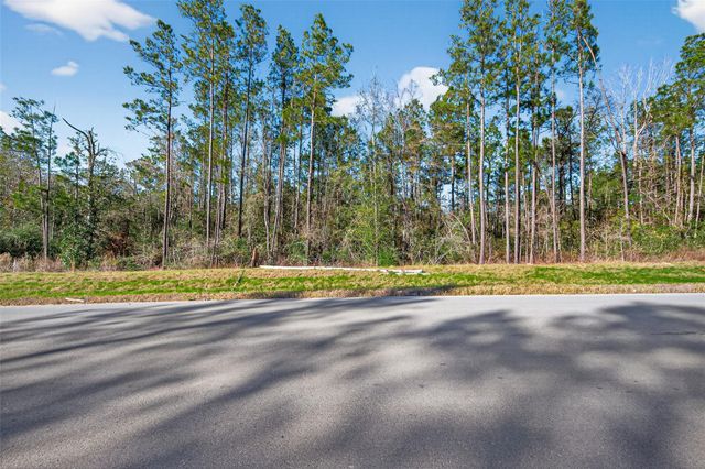 11623 Dawn Tree Lane, Willis, TX 77378